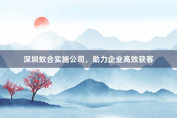 深圳蚁合实施公司，助力企业高效获客