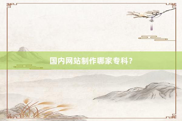 国内网站制作哪家专科?
