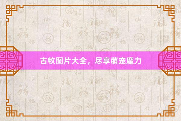 古牧图片大全，尽享萌宠魔力